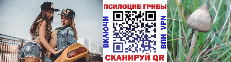 Галлюциногенные грибы Psilocybe  Купить  Заозёрск 